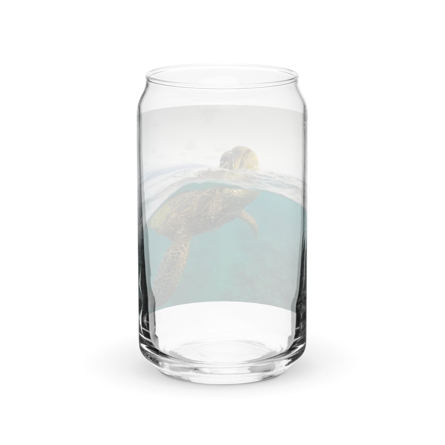 Turtle Glass