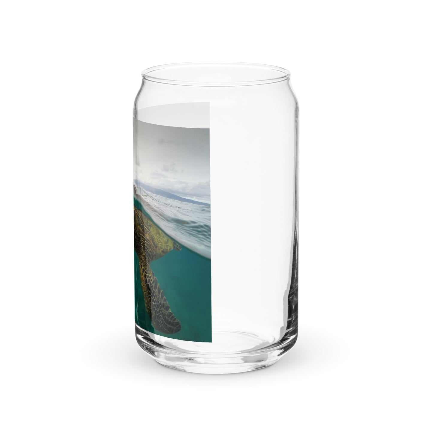 Turtle Glass