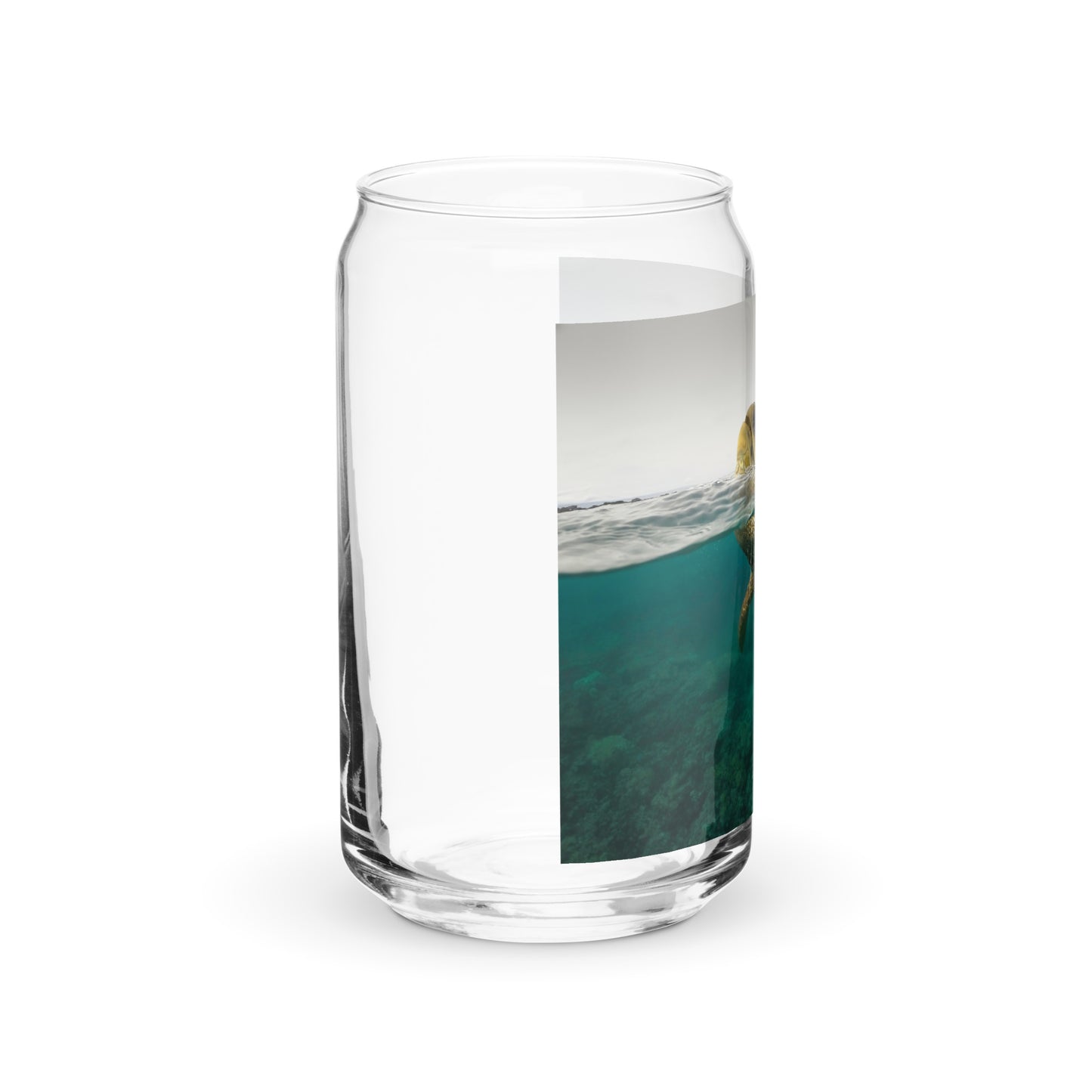 Turtle Glass