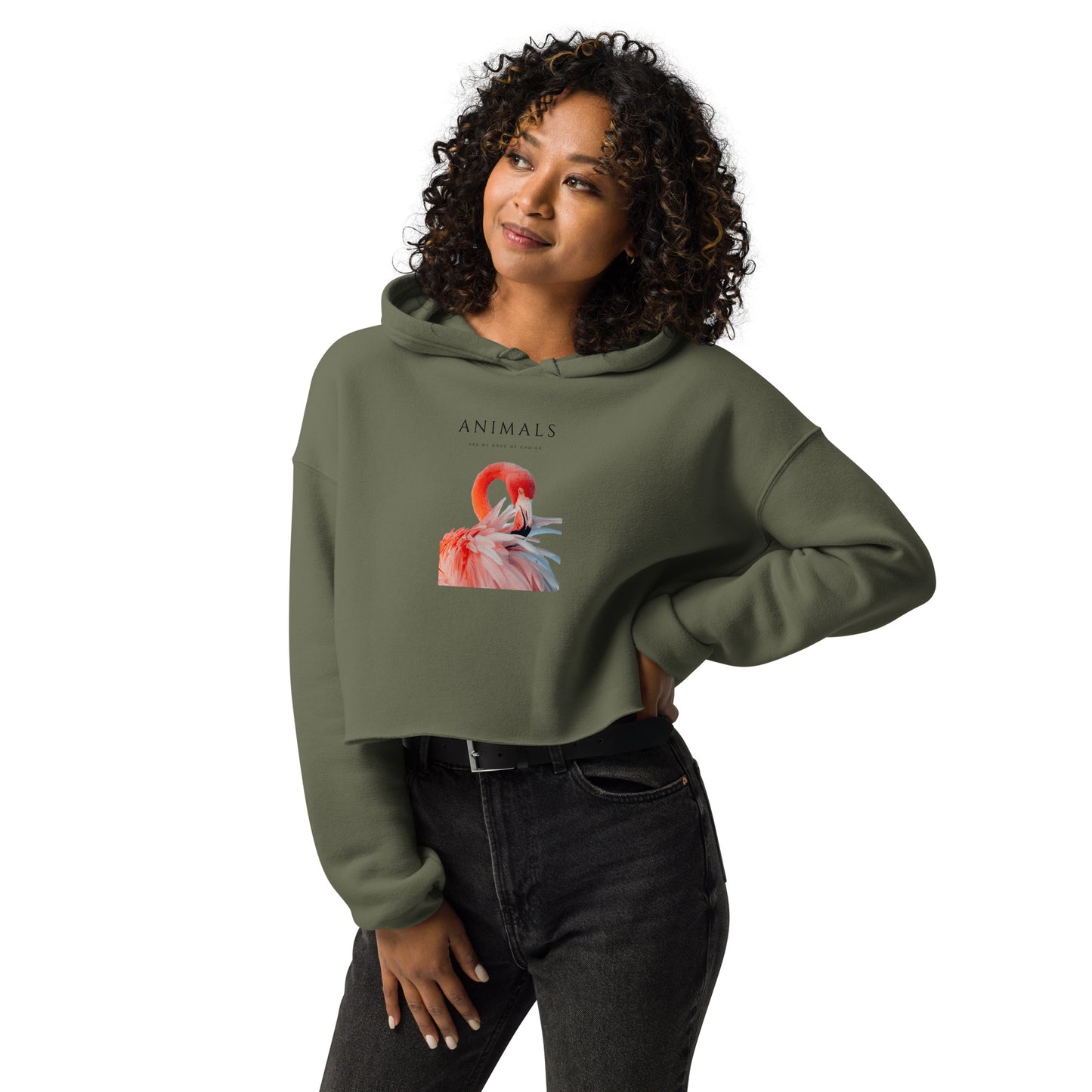 Flamingo Crop Hoodie