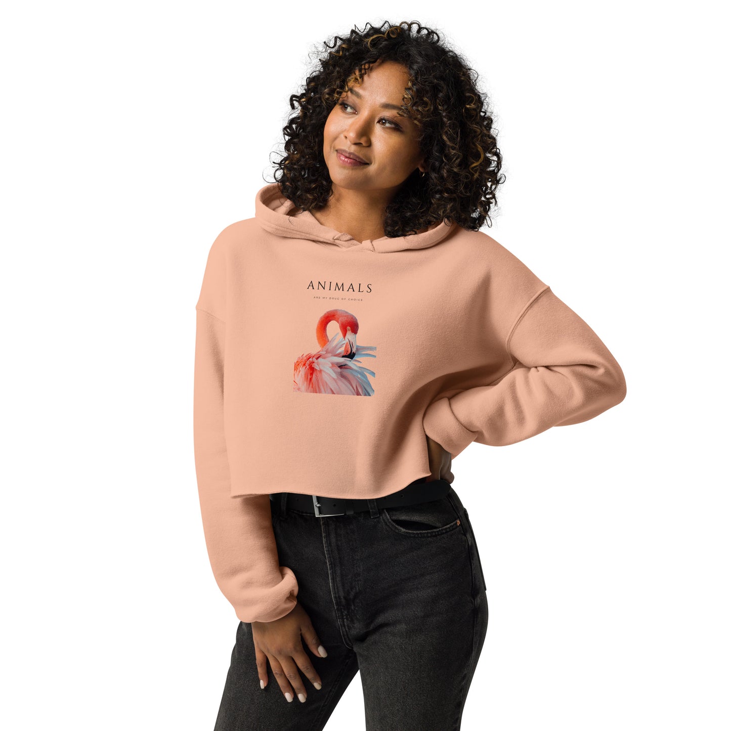 Flamingo Crop Hoodie