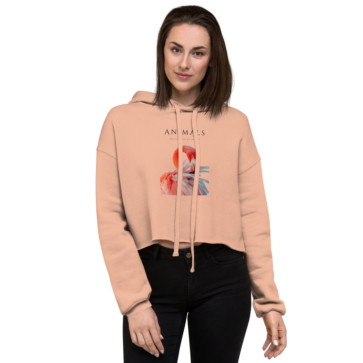 Flamingo Crop Hoodie