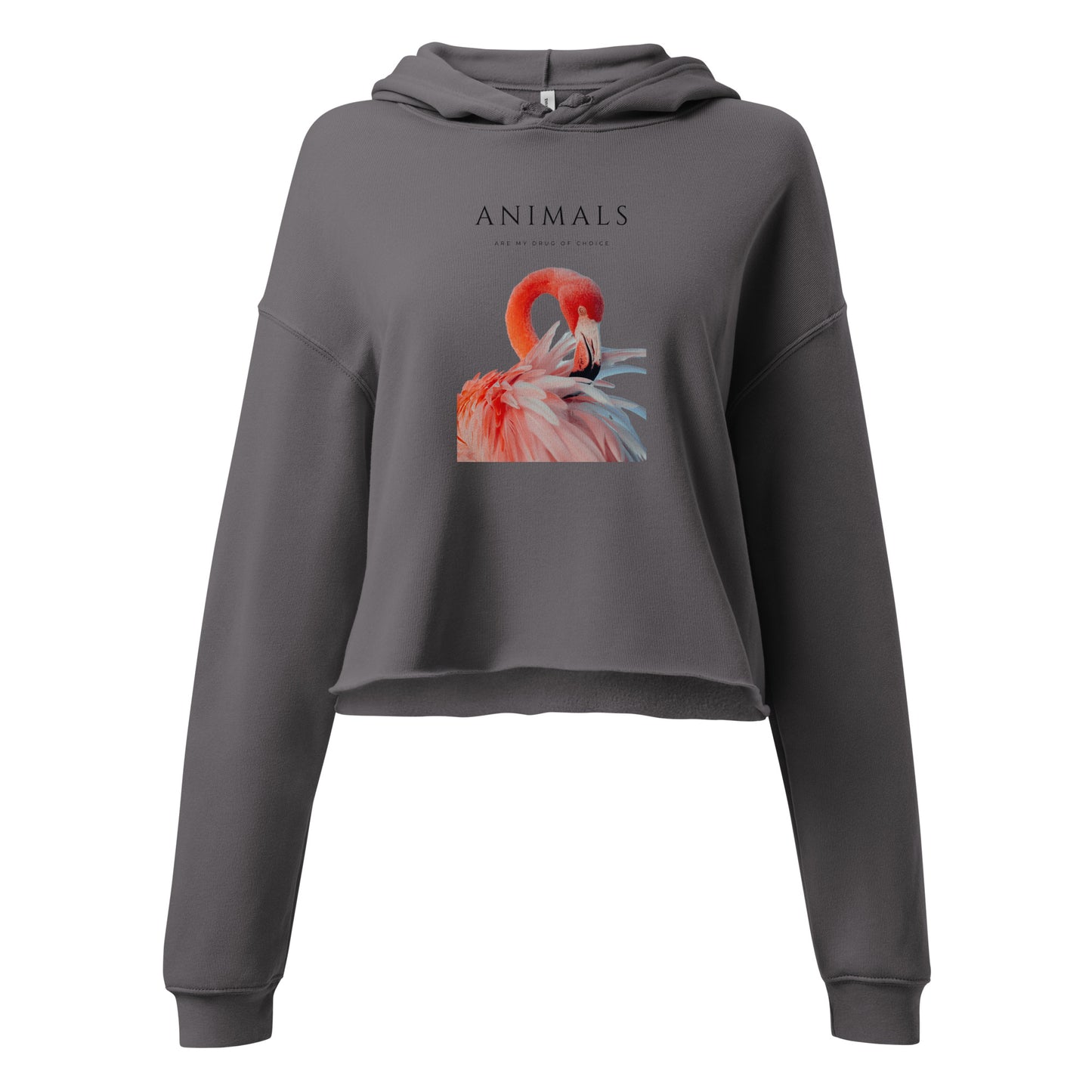 Flamingo Crop Hoodie