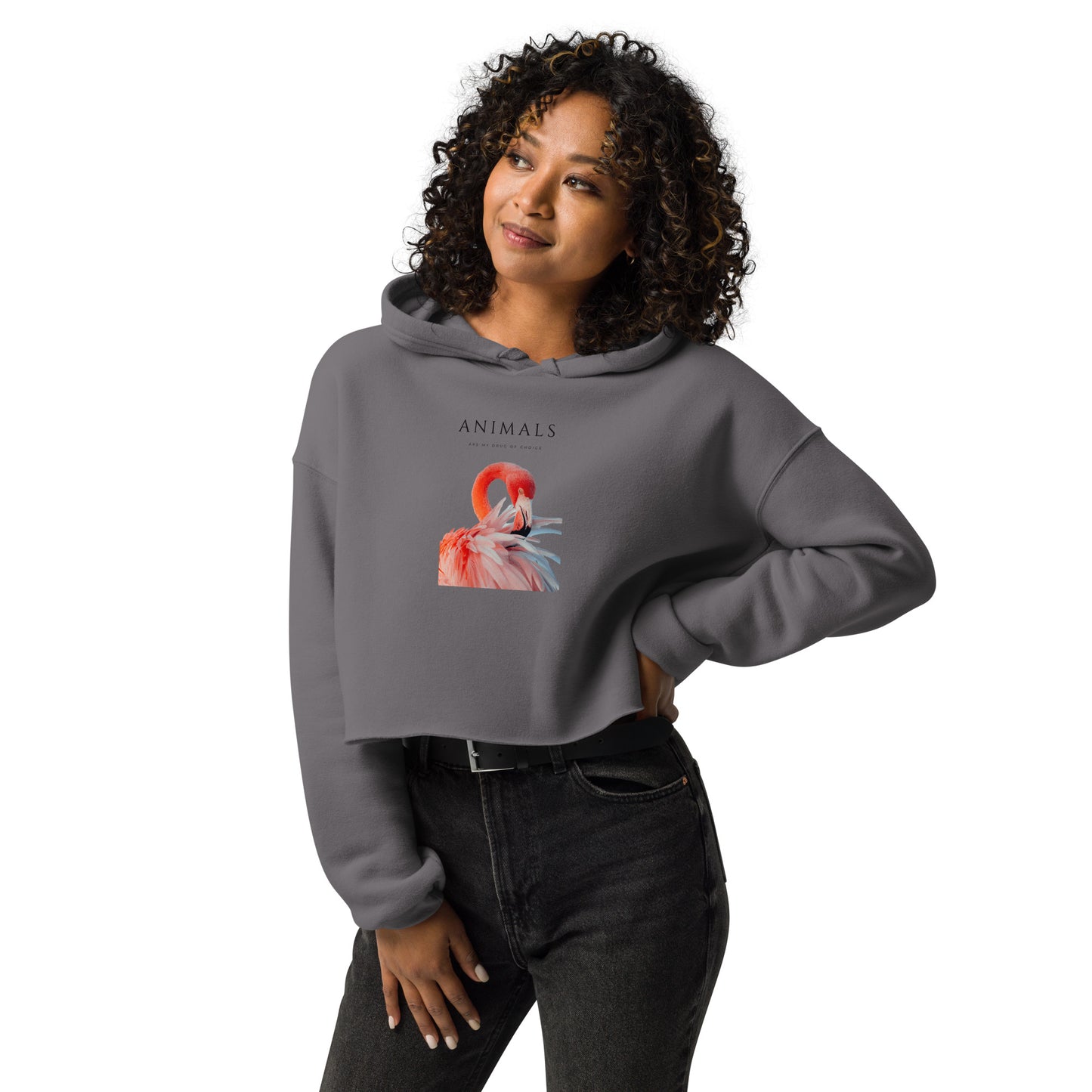 Flamingo Crop Hoodie