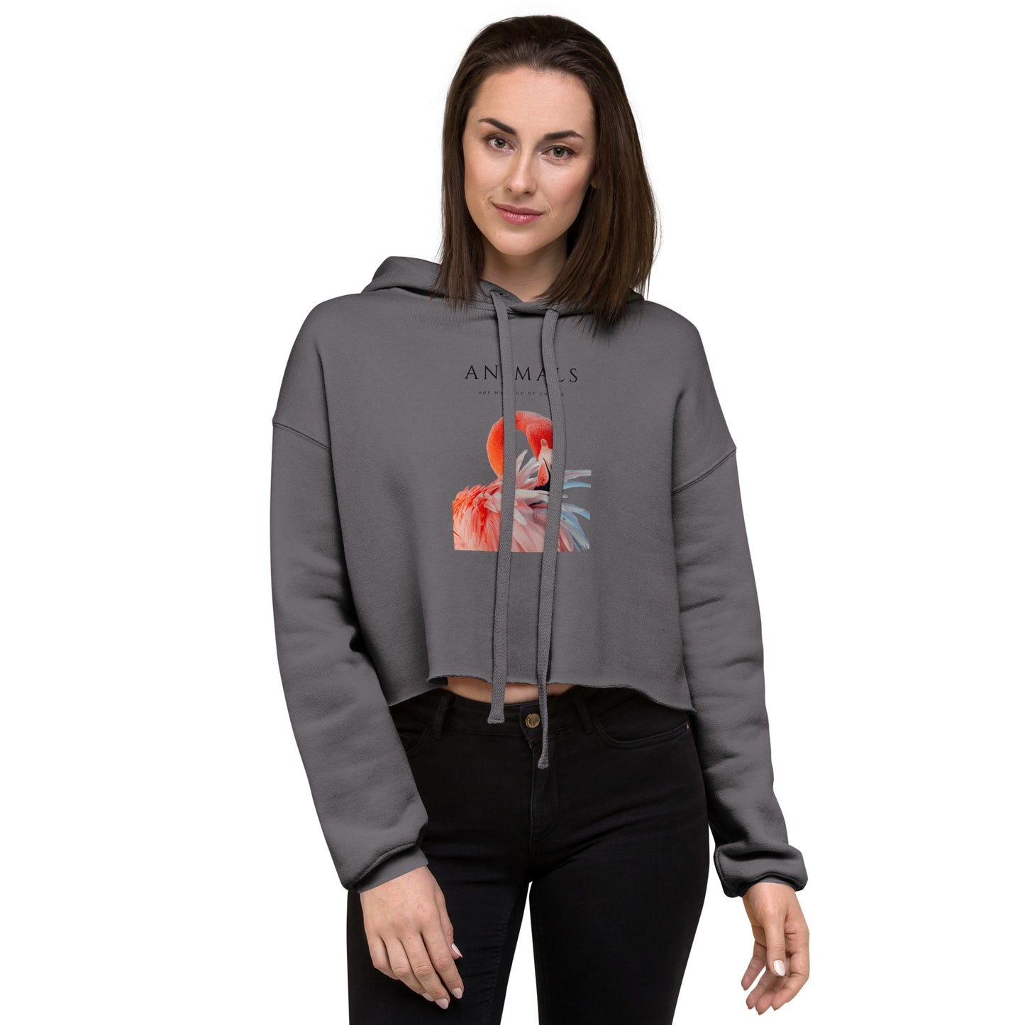 Flamingo Crop Hoodie