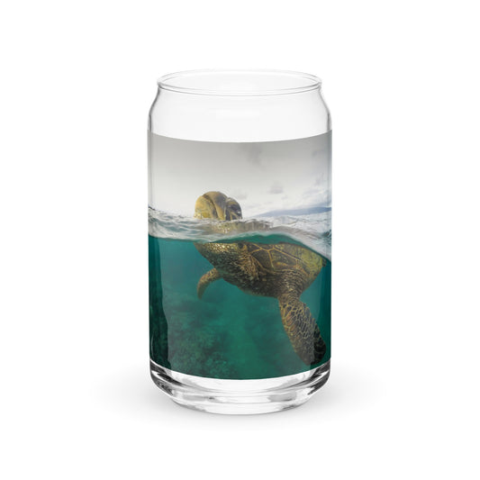 Turtle Glass