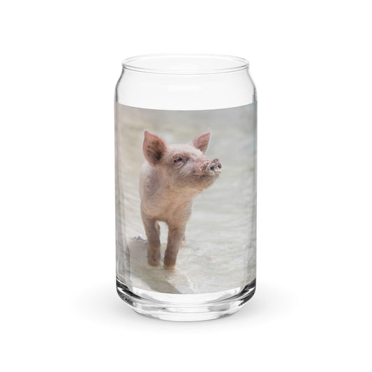 Beach Pig Glass