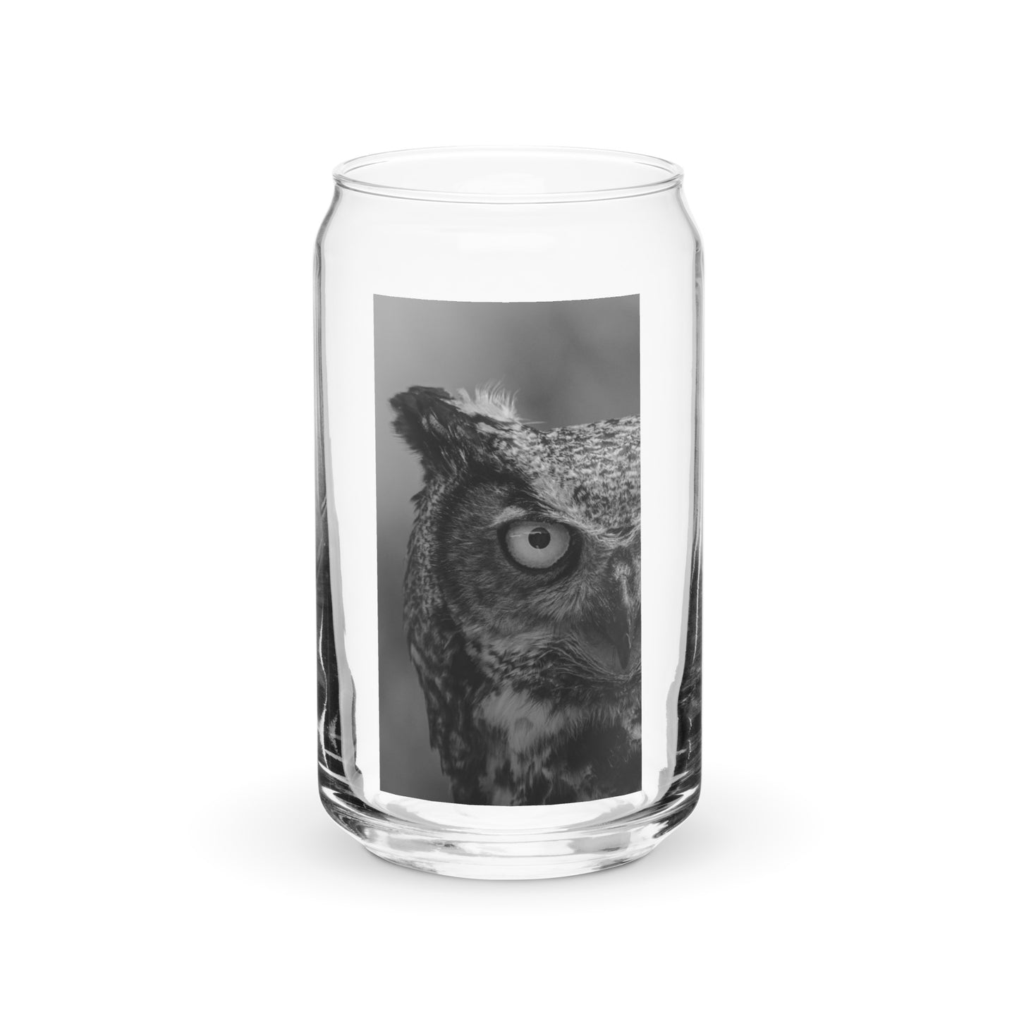 Owl Glass