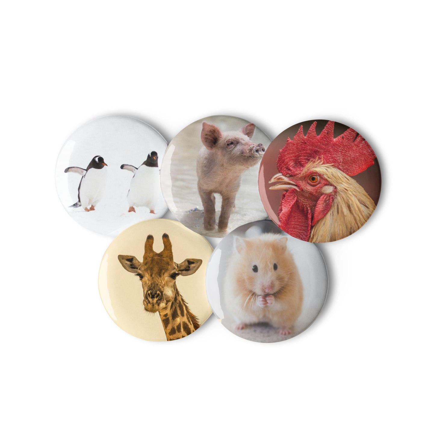 Animals Set of pin buttons