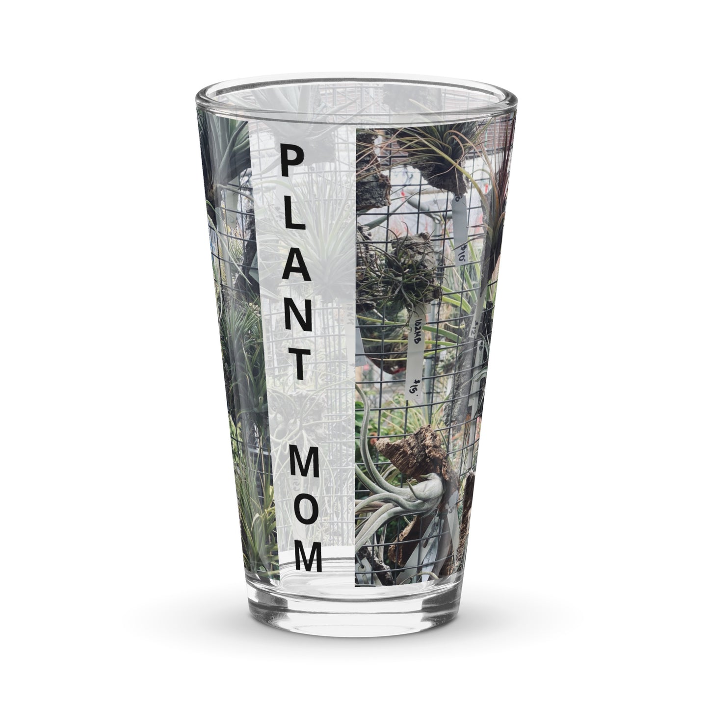 Air Plant Shaker pint glass