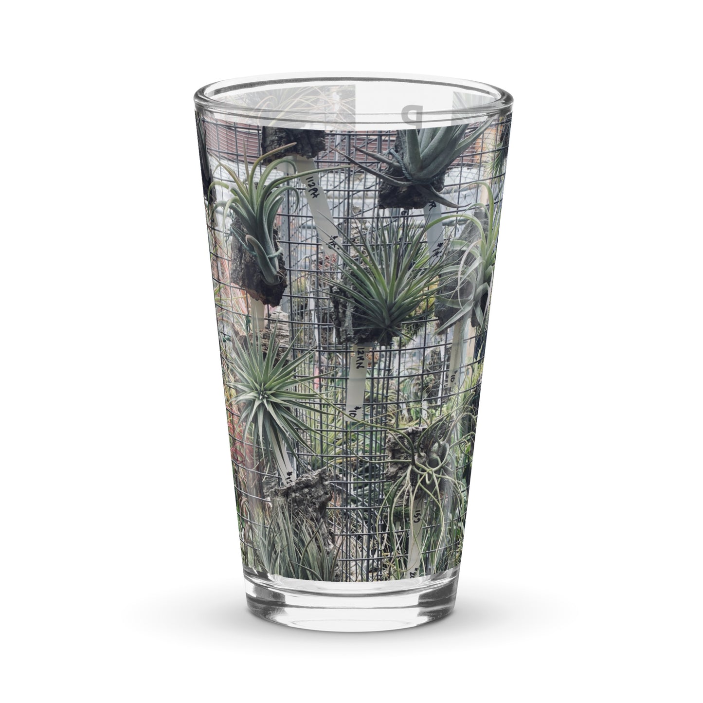 Air Plant Shaker pint glass