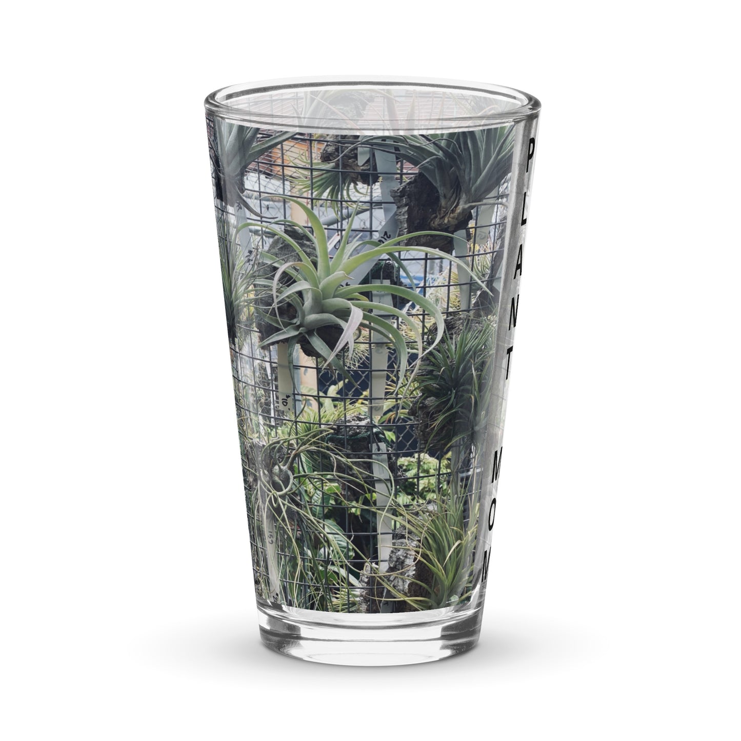 Air Plant Shaker pint glass