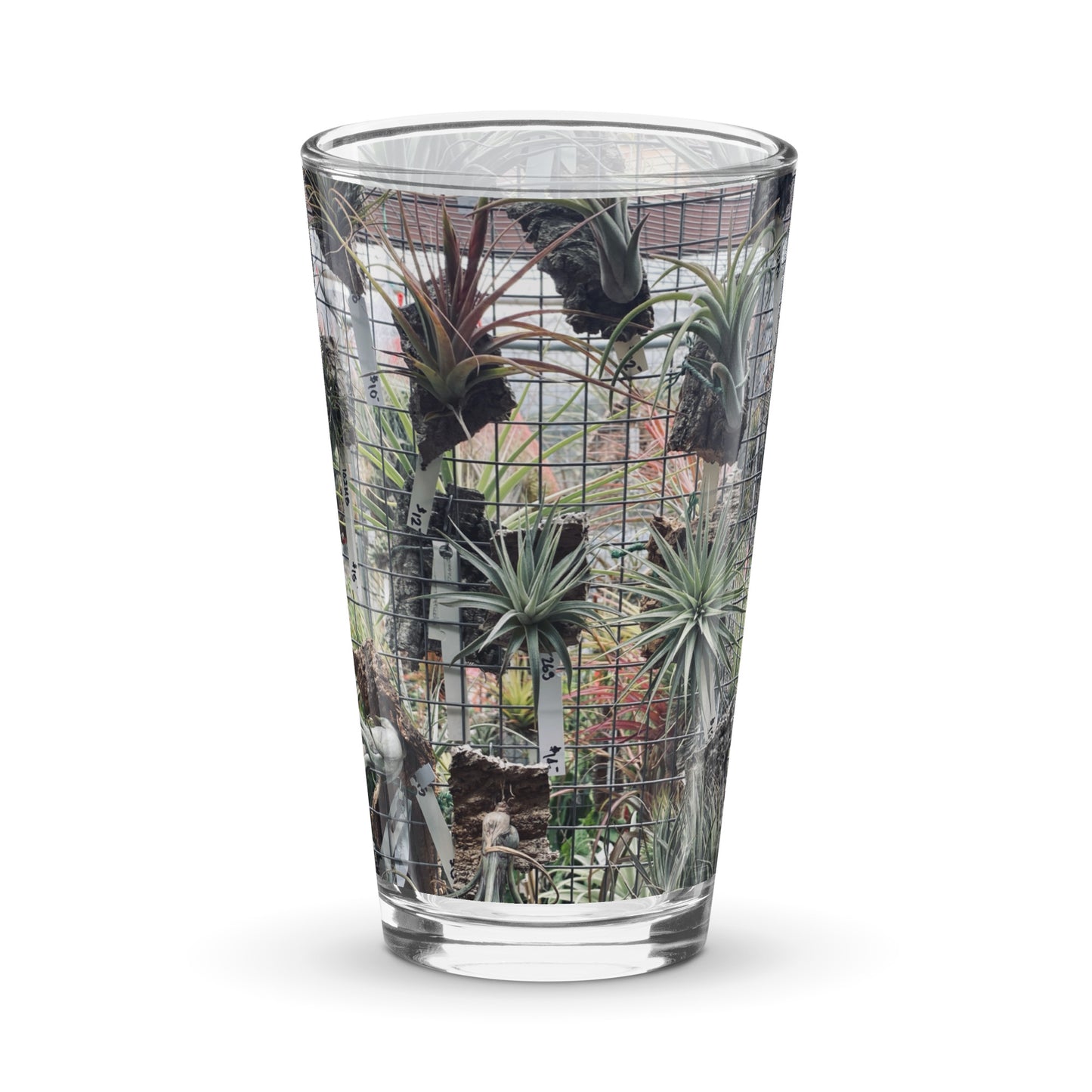 Air Plant Shaker pint glass