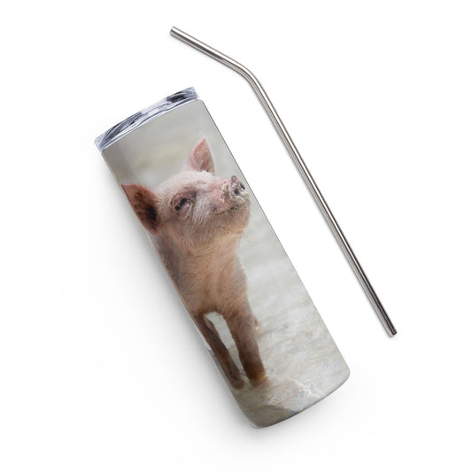 Beach Pig Stainless steel tumbler